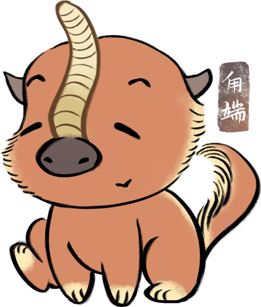 长得很像但意思不一样的字,长得像的字统称为什么