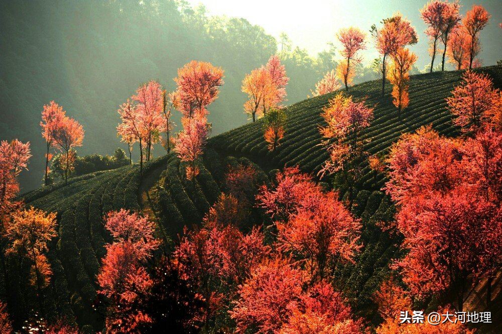 旅游攻略国内十大必去景点南方,中国南方著名景点