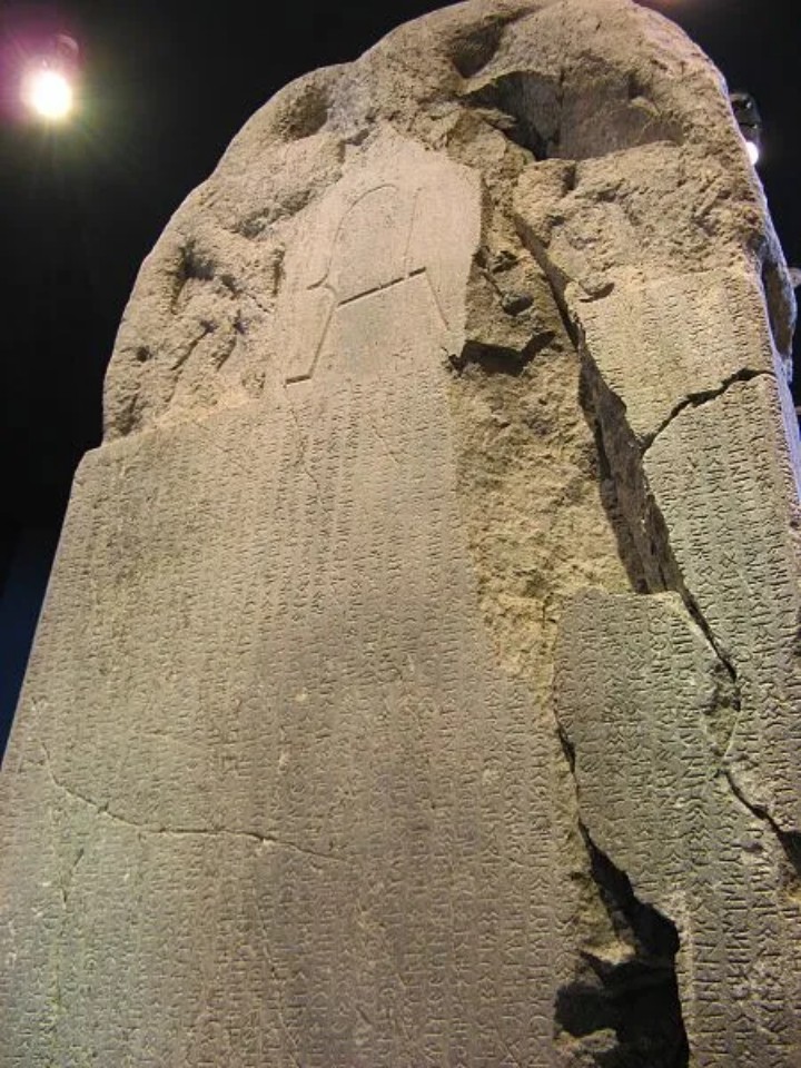 歪果仁可爱称呼,歪果仁称呼