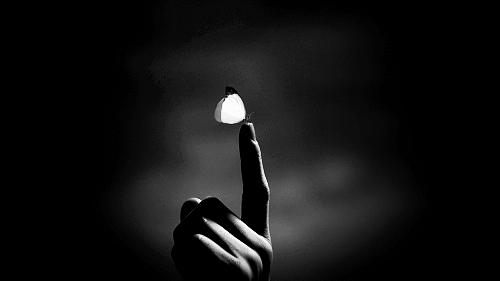 世上最远的距离不是天涯和海角,世上最远的距离不是相隔有多遥远