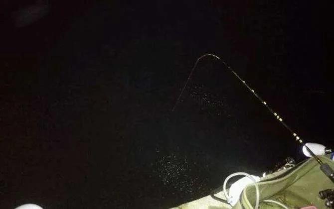 桥筏钓鱼入门教学完整版,桥筏钓鱼基础入门及技巧