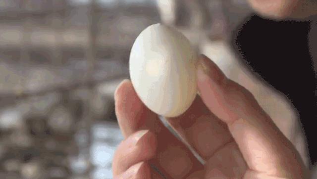 喉咙长了个小洞,喉咙里长了一个小泡要不要扎破