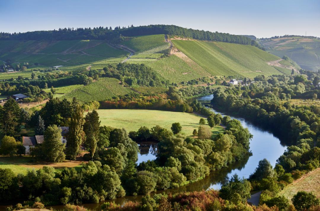 雷司令生日,雷司令2017