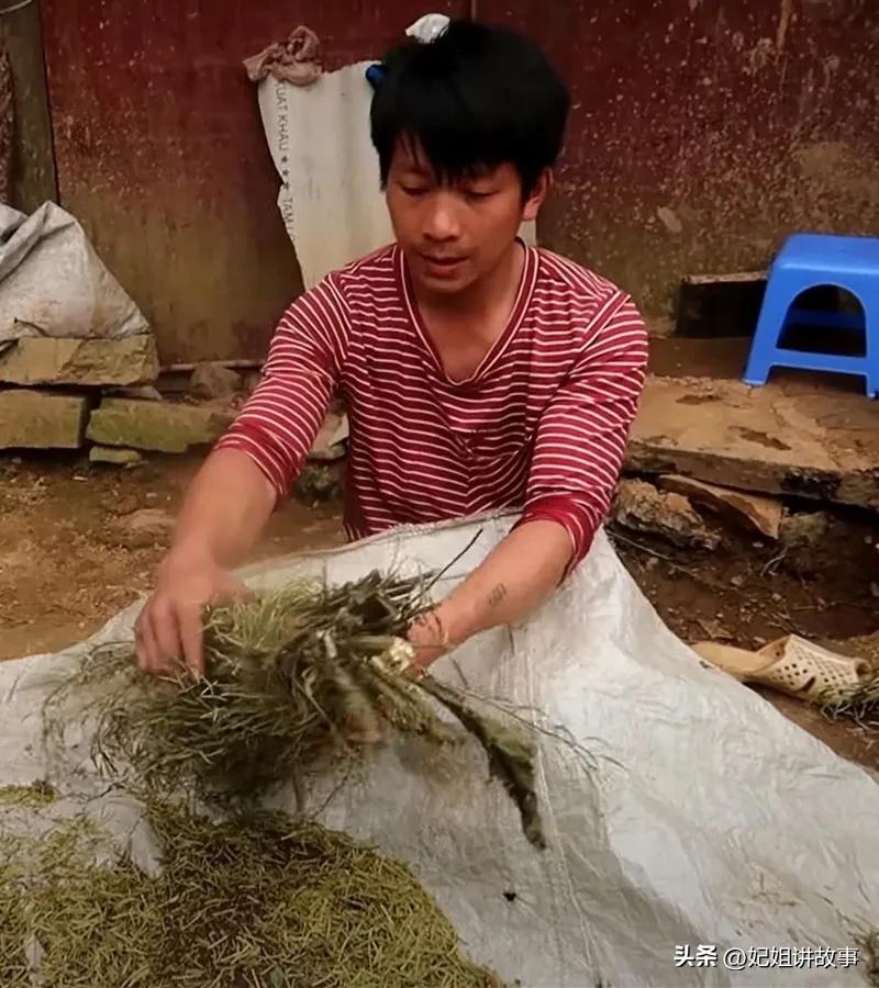 中国小伙在越南娶了个韩国姑娘,越南中国大叔娶年轻越南姑娘