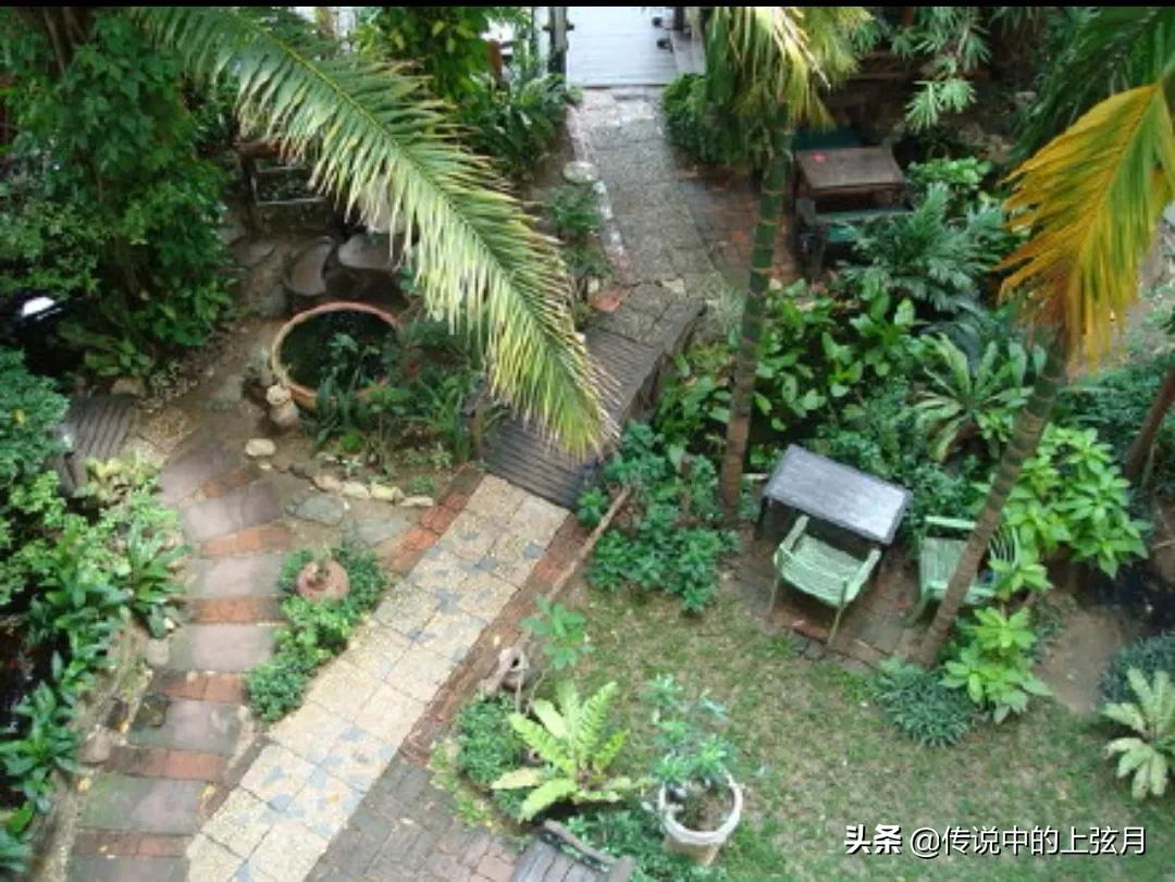 泰国游记3,泰国游记第三集