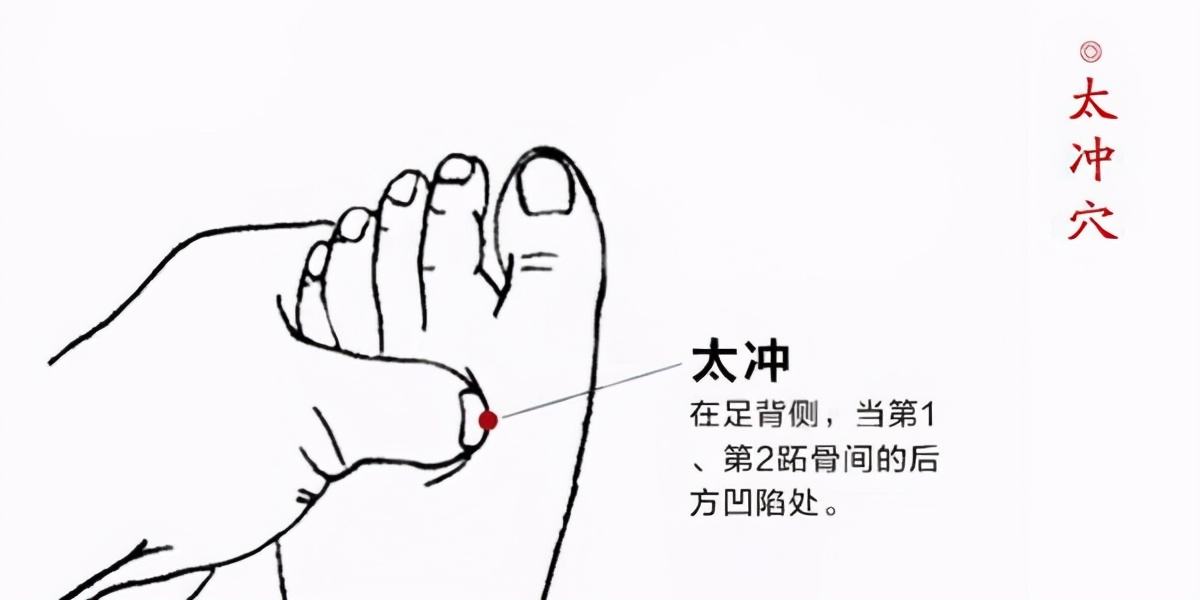 胃火大的人怎么调理,胃火大有什么表现