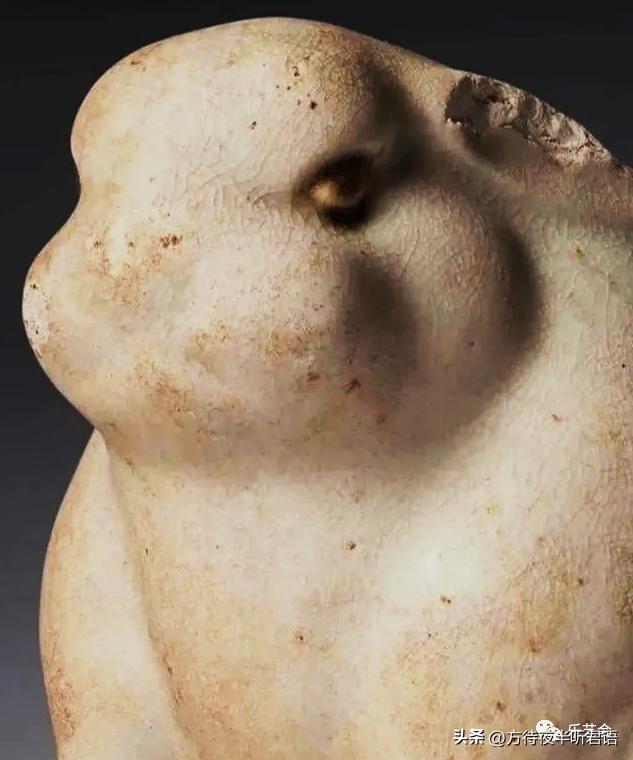 兔年说兔第一段在文中有何作用,兔年说兔说明文