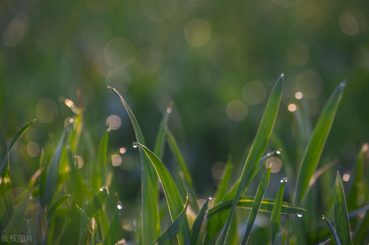 中医前列腺炎秘方验方,中医治疗前列腺炎医案分析