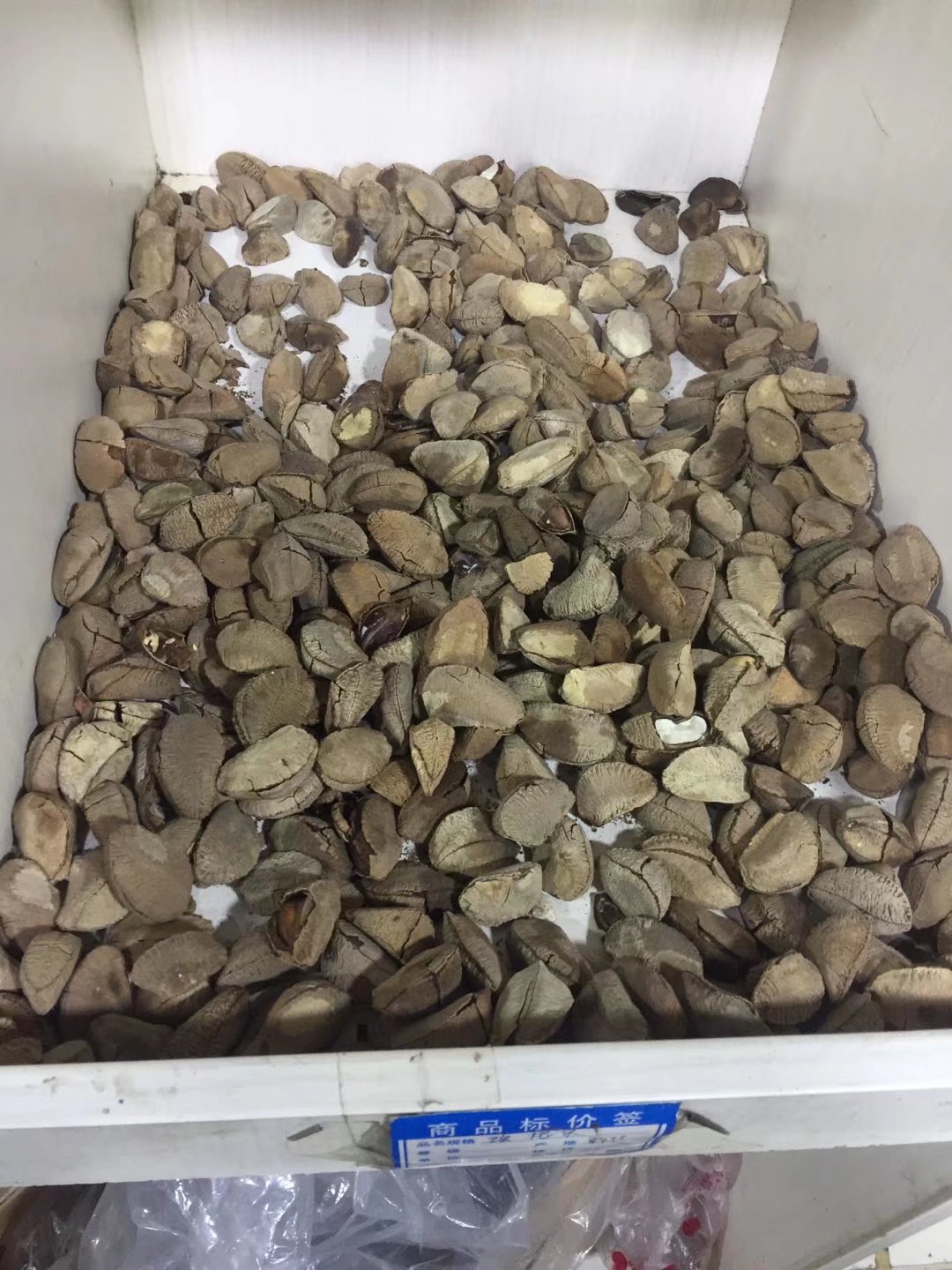 被旅馆老板娘赶，要露宿街头了（85）