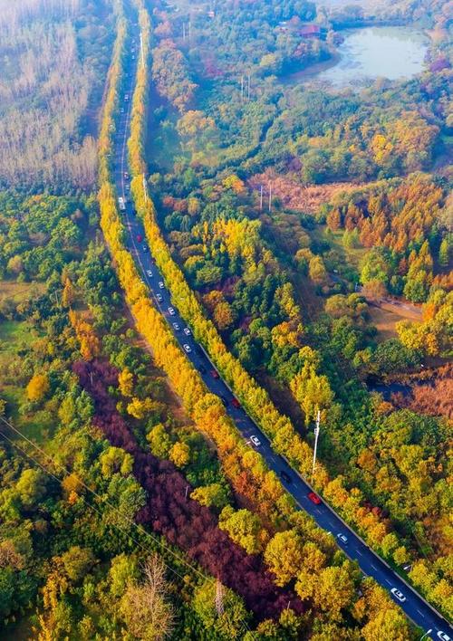 安徽省合肥市旅游景点路径图,合肥市庐江县金牛镇旅游景点