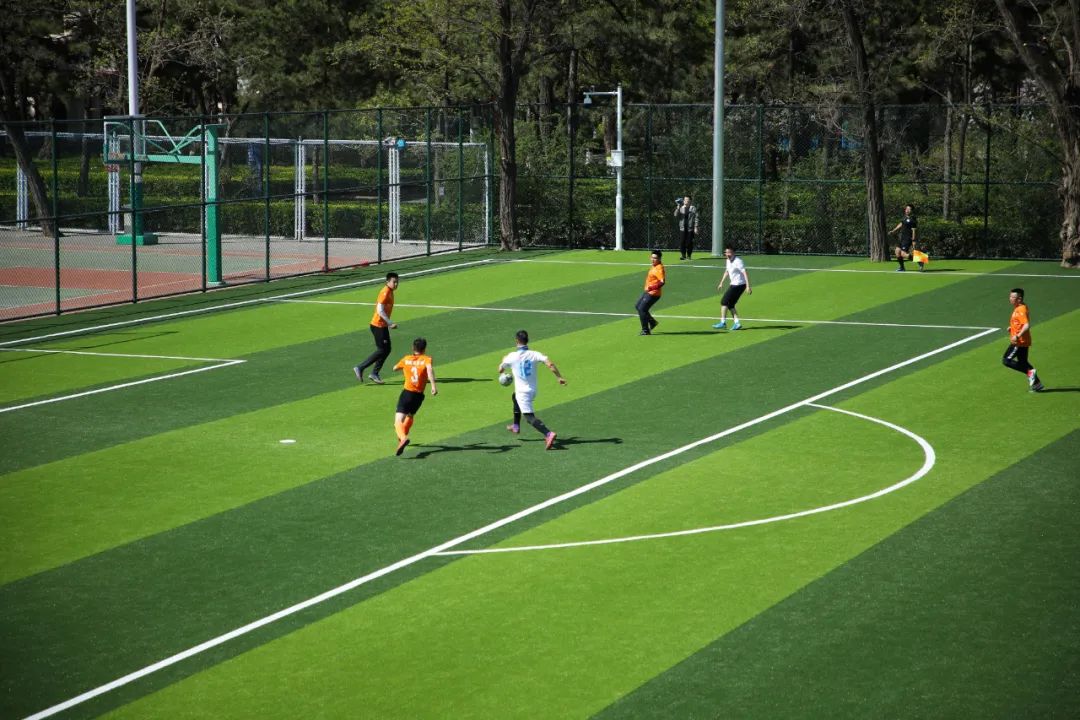 最新足球场改造消息,足球场升级改造