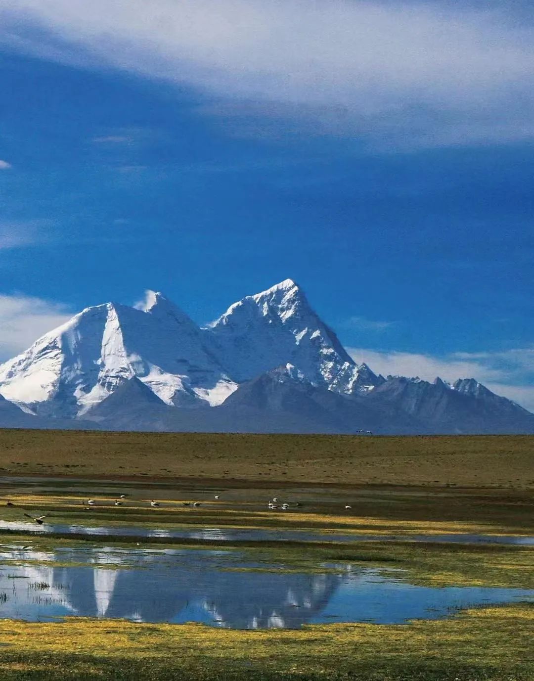 藏西风景,藏西美景视频大全