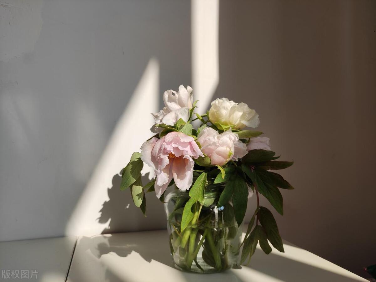 那些你不知道的微信聊天潜规则,微信最忌讳的聊天方式