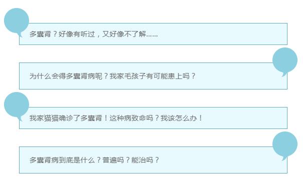 猫多囊肾最严重的后果,猫多囊肾科普