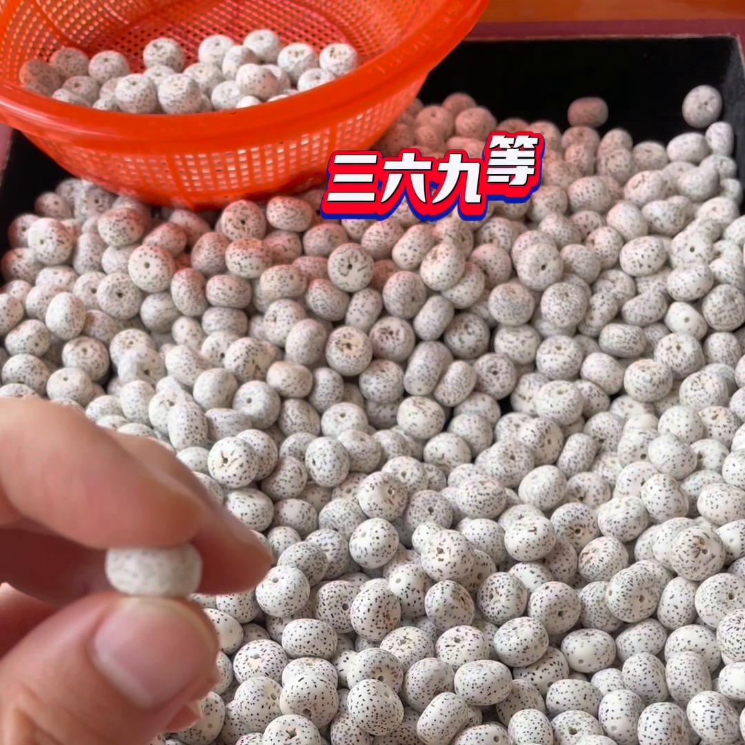 极品星月菩提是如何挑选判断？#极品星月菩提如何挑选判断