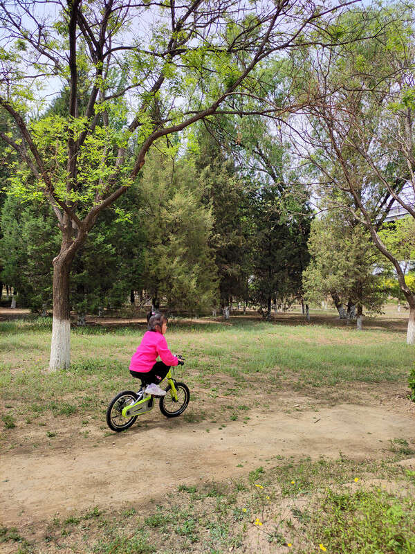 酷骑城市款儿童自行车f3,酷骑f3自行车测评