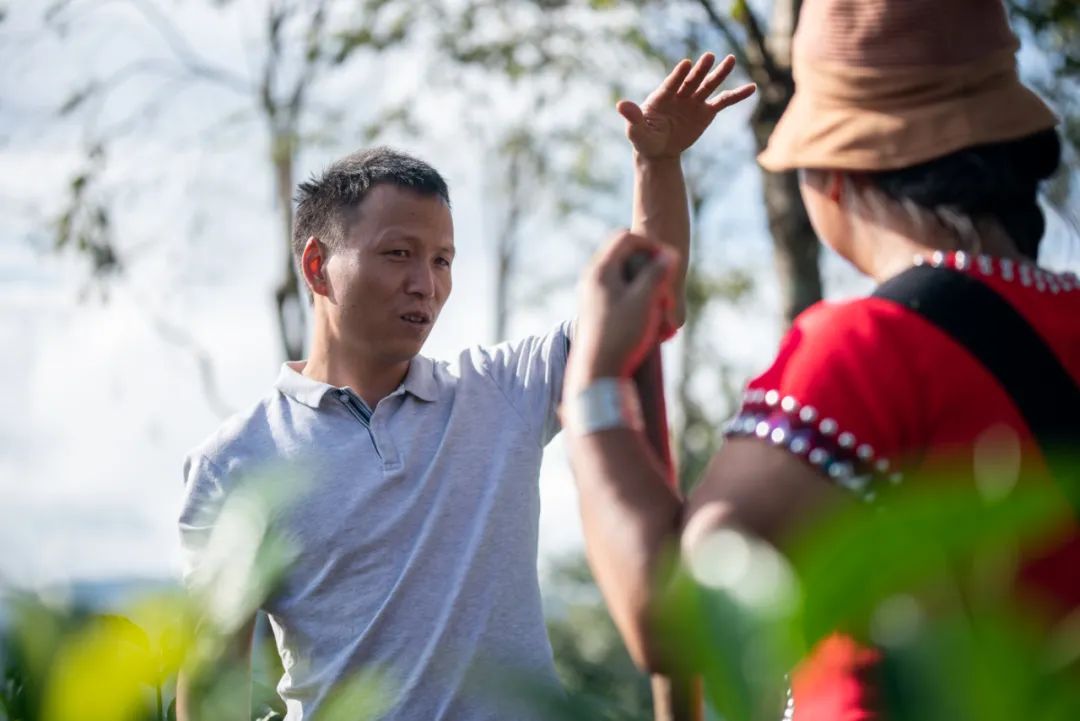 80后的他在云南教人种咖啡10年，终于让全世界看到