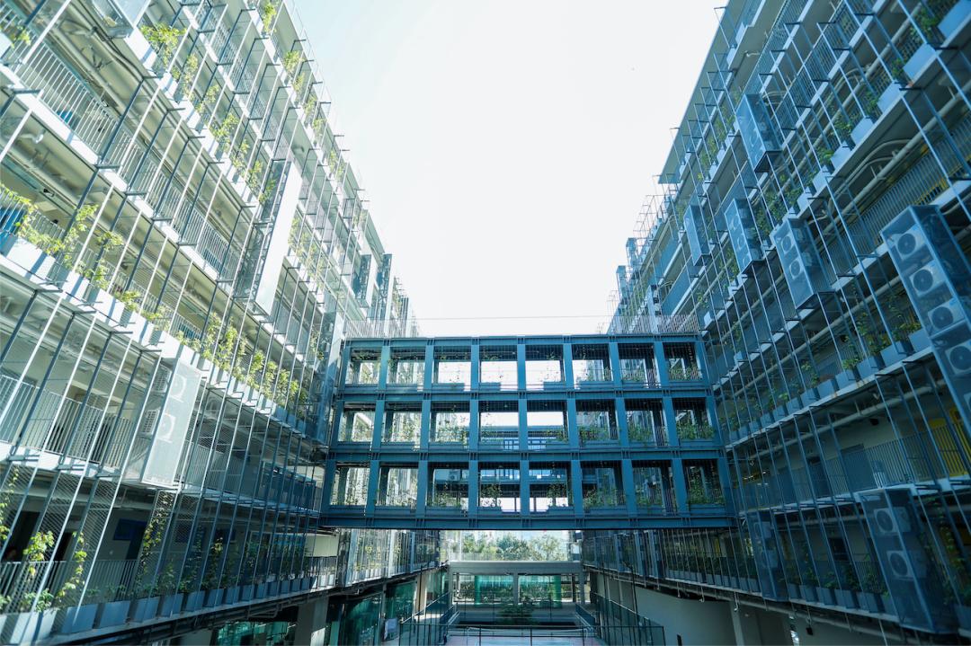 深国交国际学校转普高,取消升降级是大势所趋吗