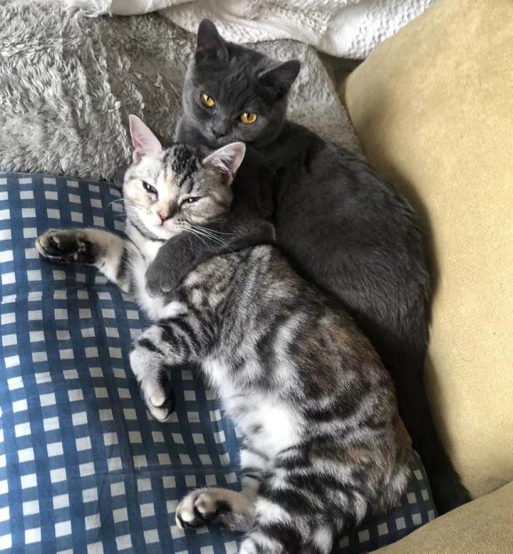 受控于父母的成年人