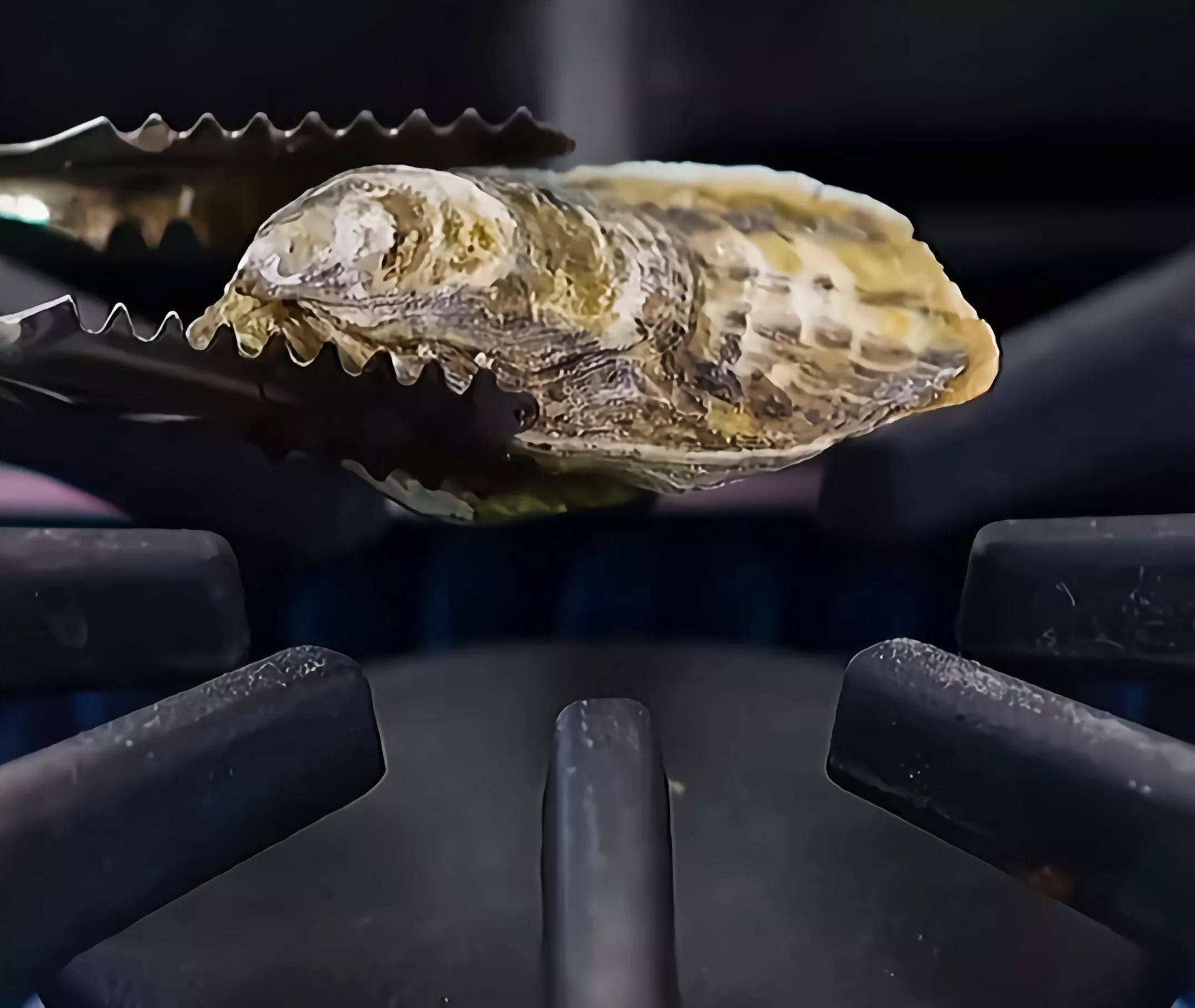 只用小苏打和白醋做胶水,不用小苏打光用牙膏做胶水