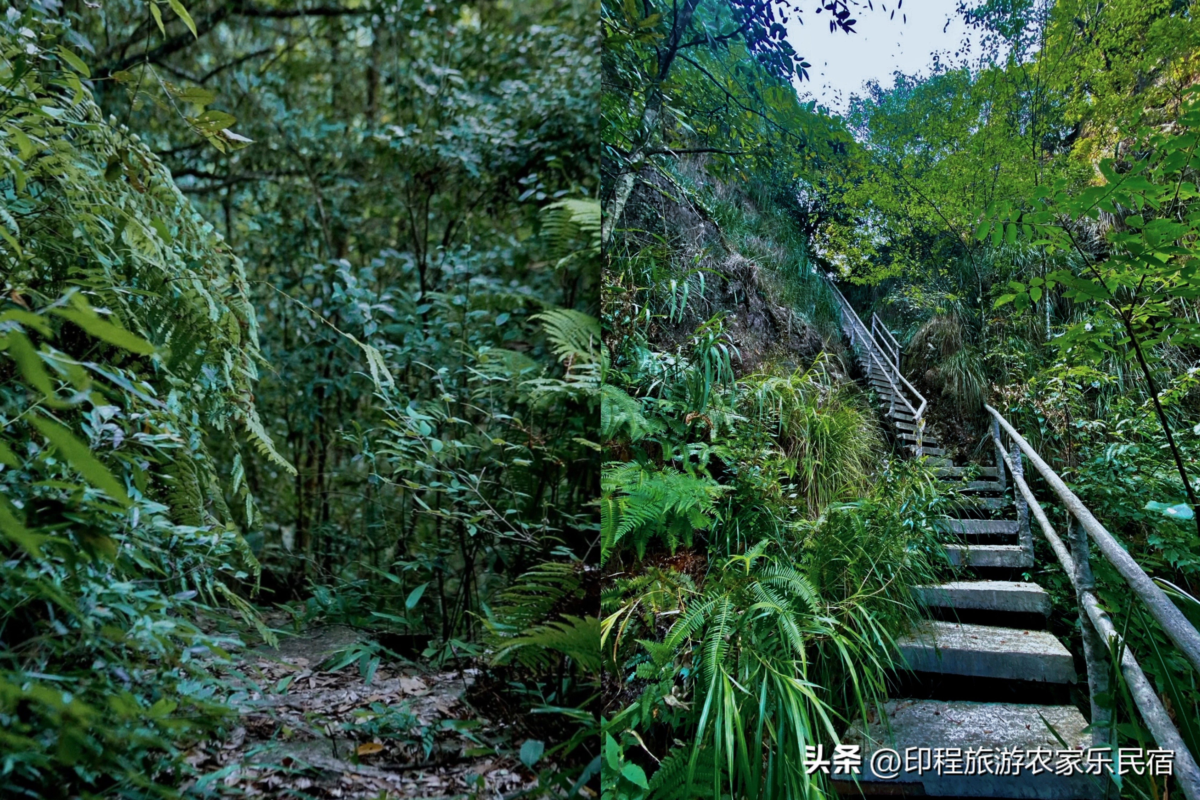 浙江高山避暑农家乐,浙江避暑最好包吃住的农家乐推荐