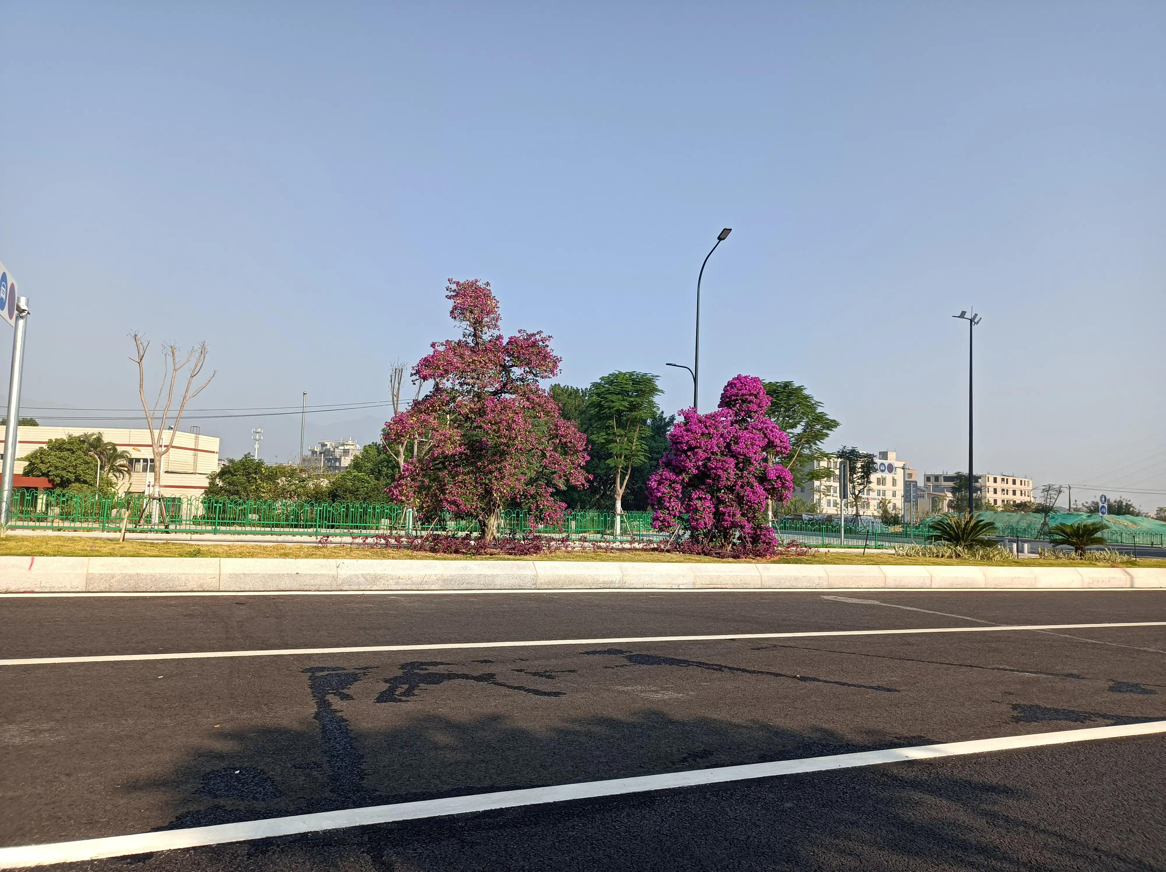 大叔最后的任性《世界杯少年心》