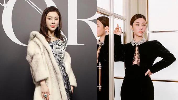 蔡天凤案件被杀全过程,蔡天凤分尸案细节公布