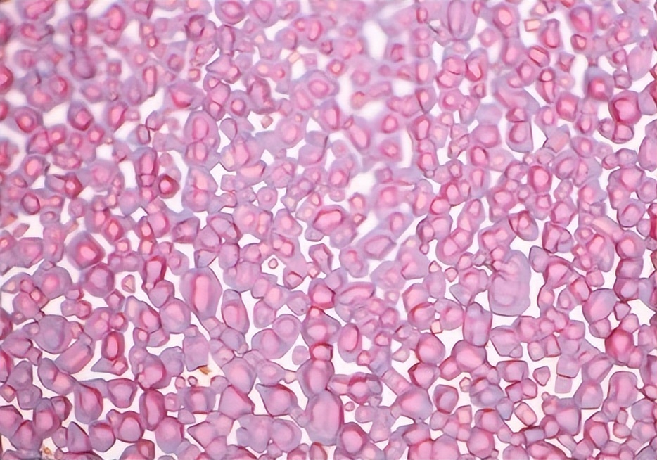 显微镜下的化学,显微镜下的世界奇妙图