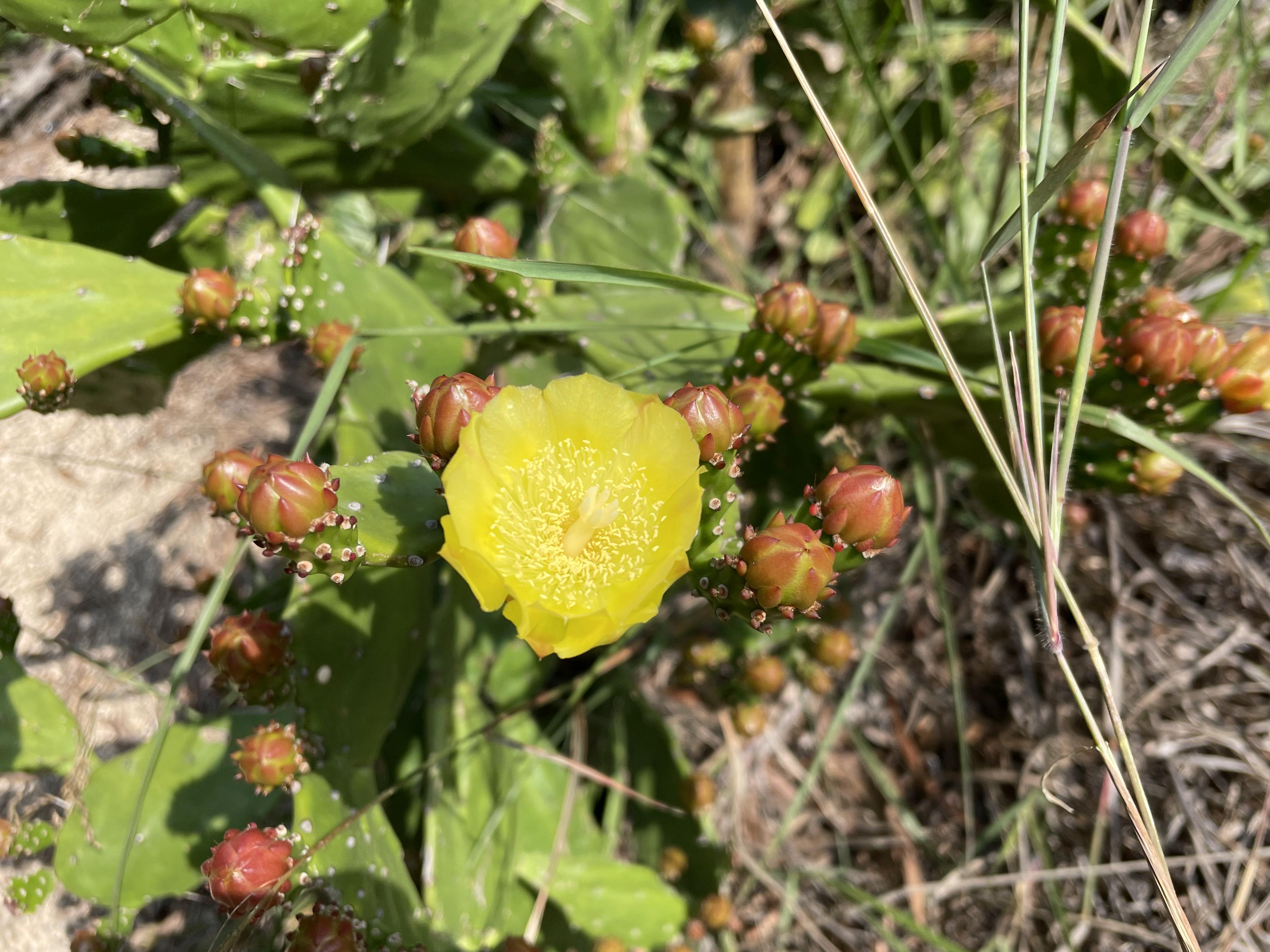 厦门带娃游玩推荐公园,厦门亲子游必去十大公园