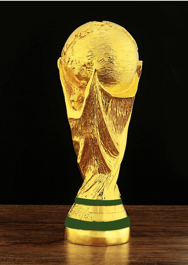 梅西的大力神杯之路,梅西的世界杯冠军梦想