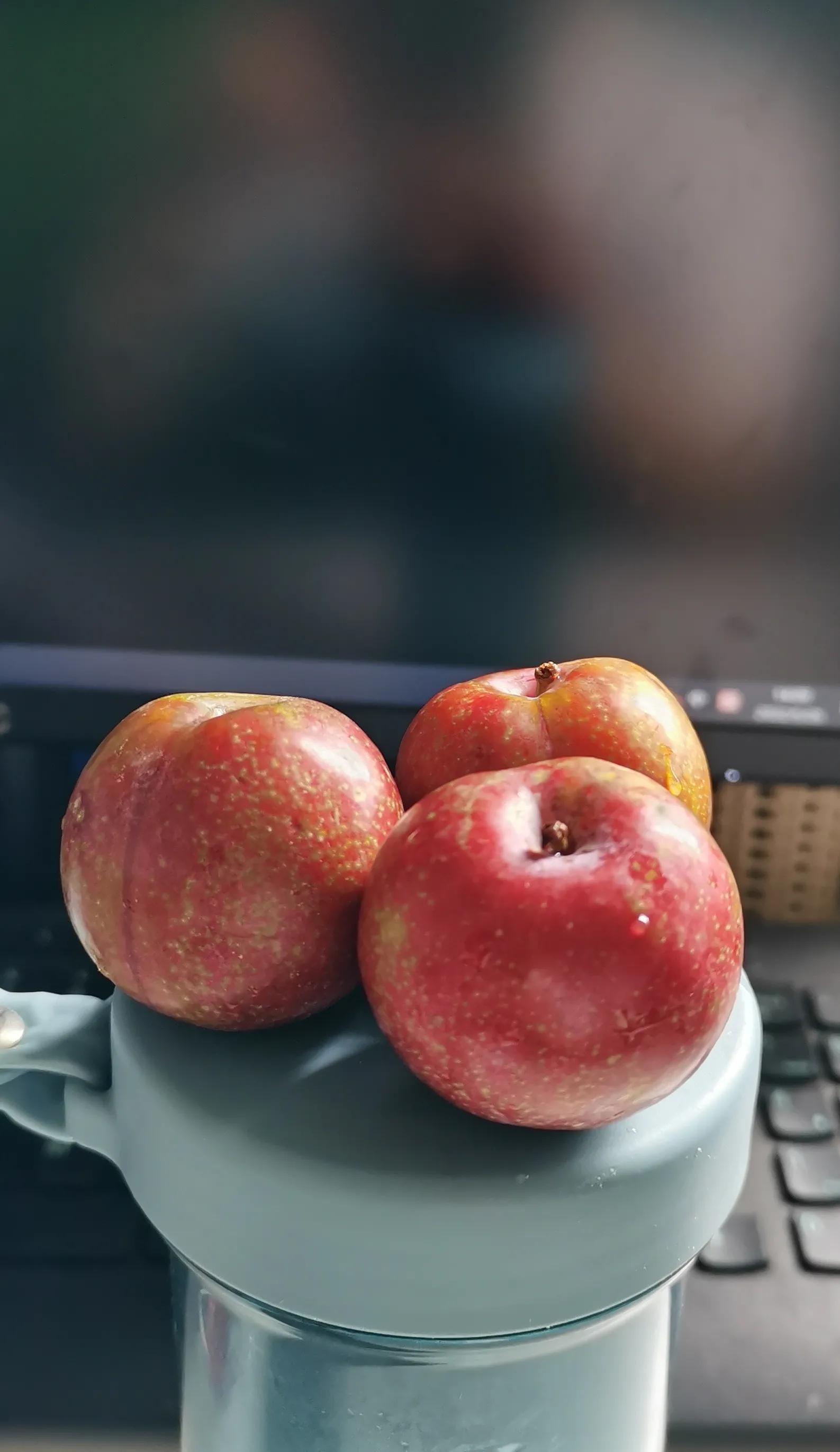 妗冩潕鏂囧寲,妗冩潕鏂囧寲鏈楄