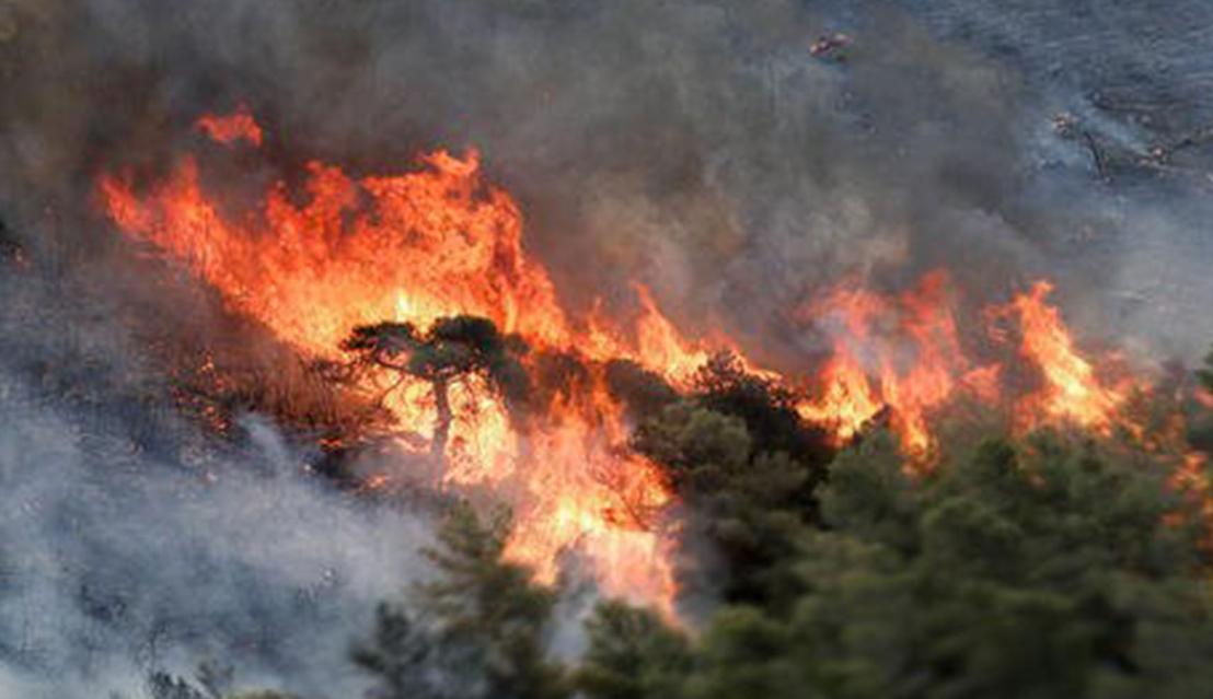 日本收集中国烟头是真的吗,日本收烟头干啥