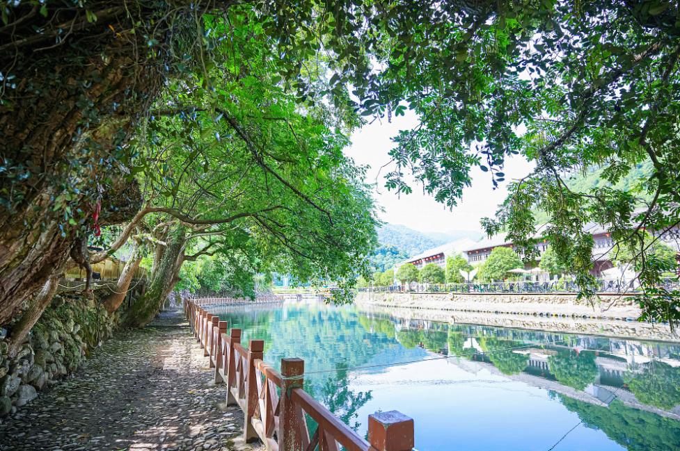 东海最后一处冷门小县城，藏了个海上仙子国，一口小海鲜封神