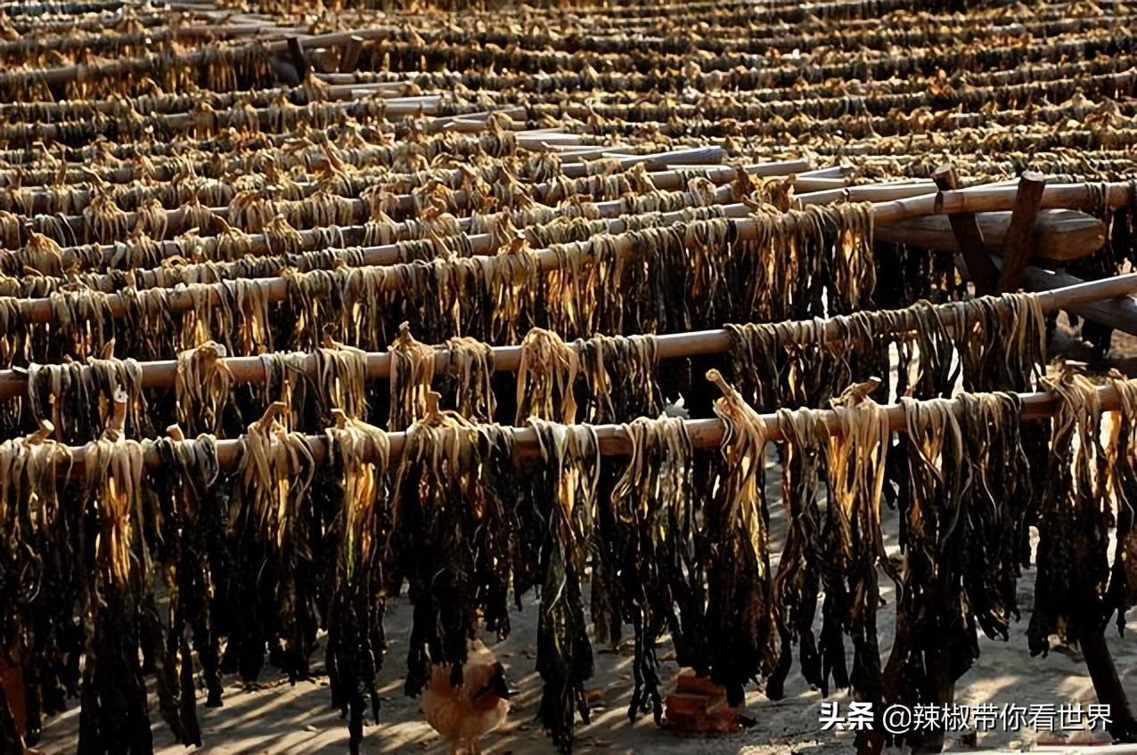 惠州市海岸线,惠州的海岸线