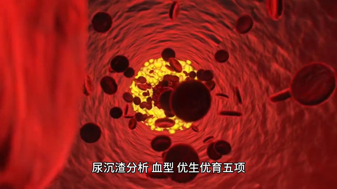 备孕难的经历,备孕难到怀疑人生