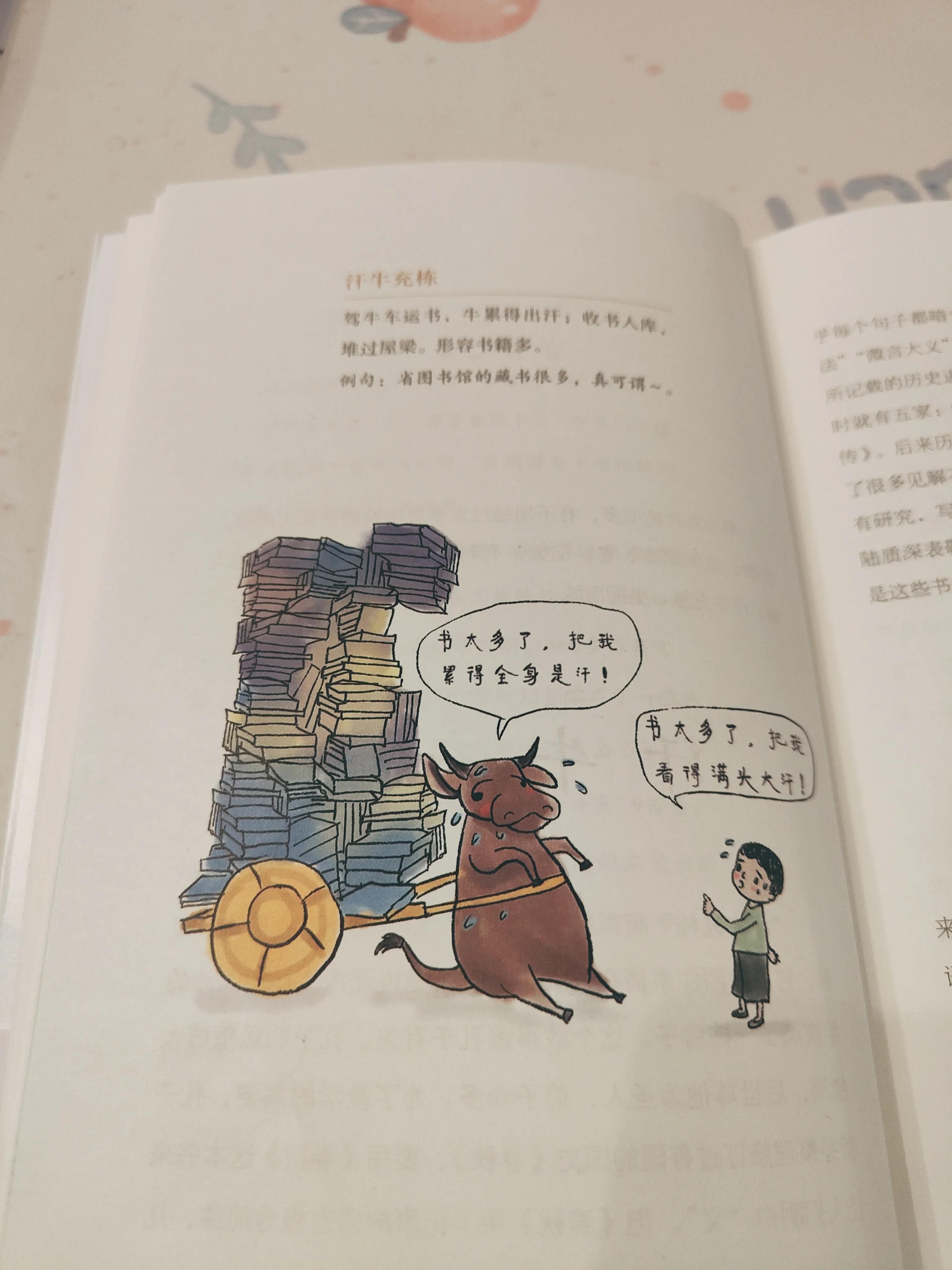 成语的有趣的冷知识,成语文化小知识大全