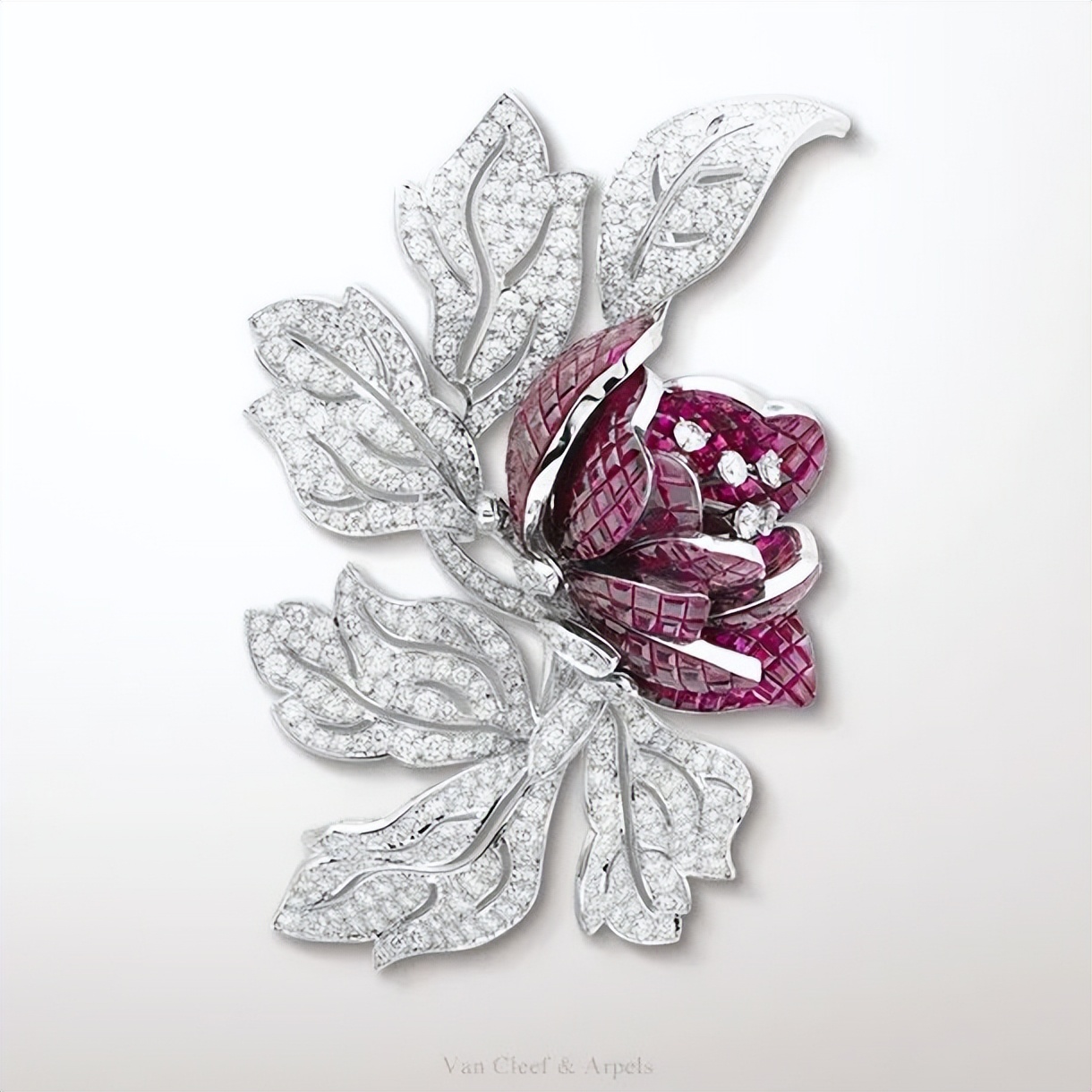 见证你投资眼光的时候到啦!王室最爱,拍卖必争的“宝石之王”你入手了吗?