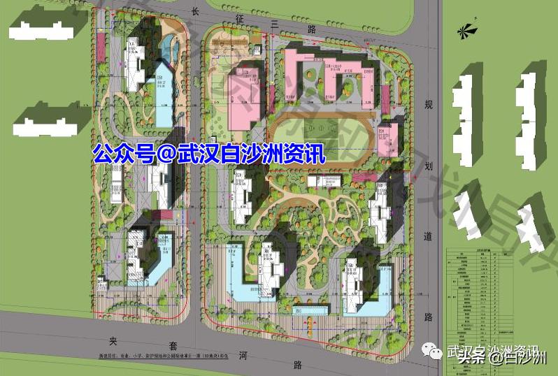 白沙洲小学新消息,白沙洲即将建设的小学