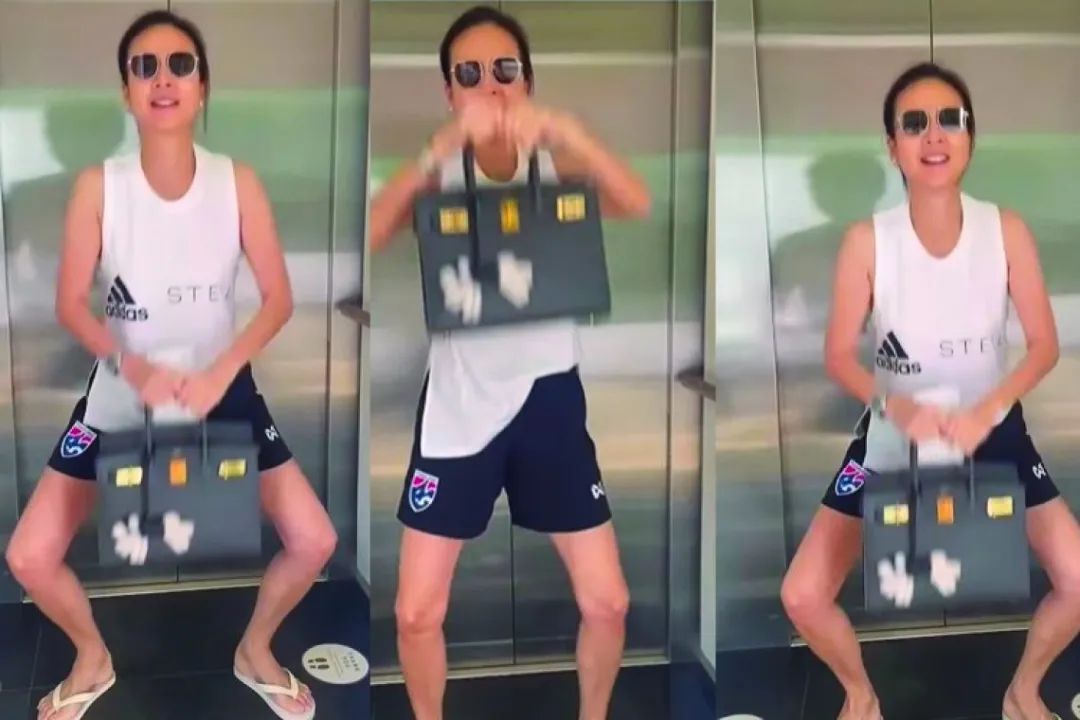 贵妇鄙视链,贵妇炫耀爱马仕包