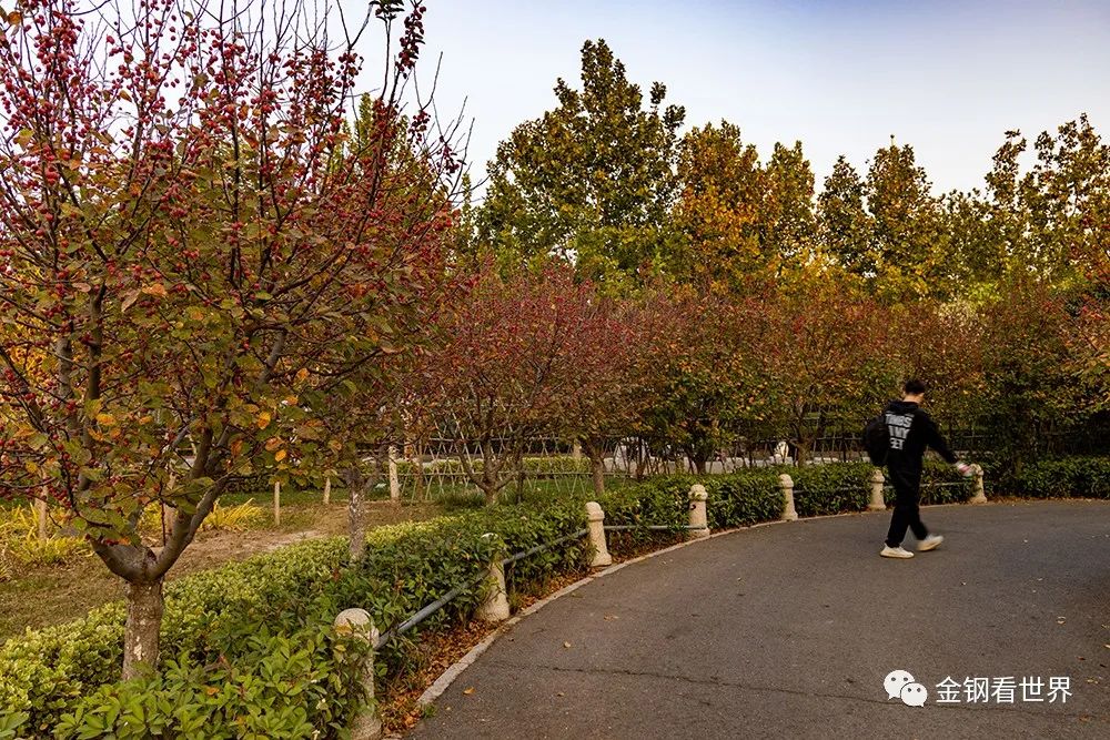 南湖体育运动馆,南湖体育运动公园