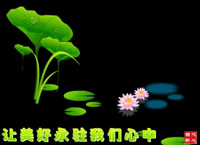 散文宽容配乐,散文宽容