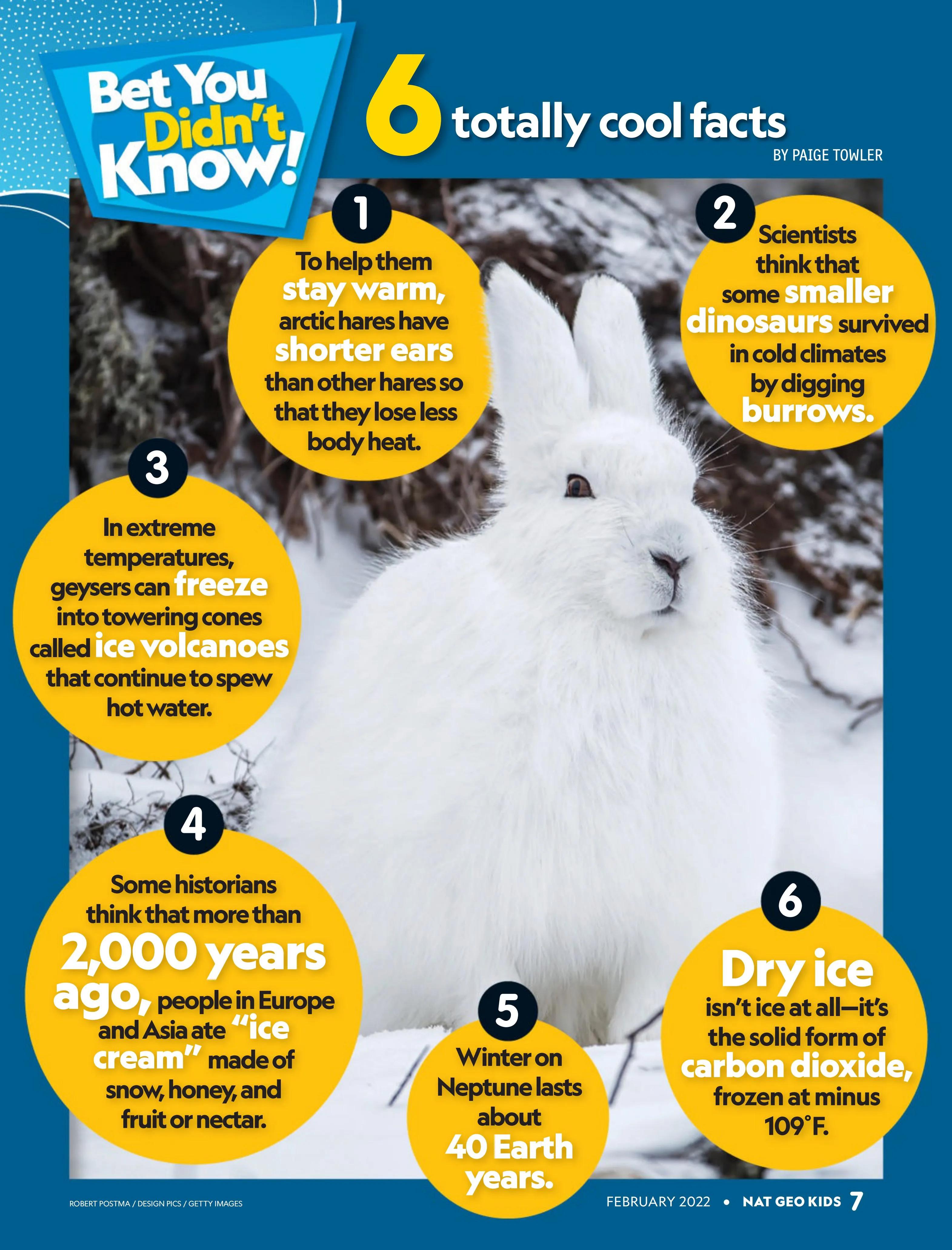 6totallycoolfacts六个有趣的事实