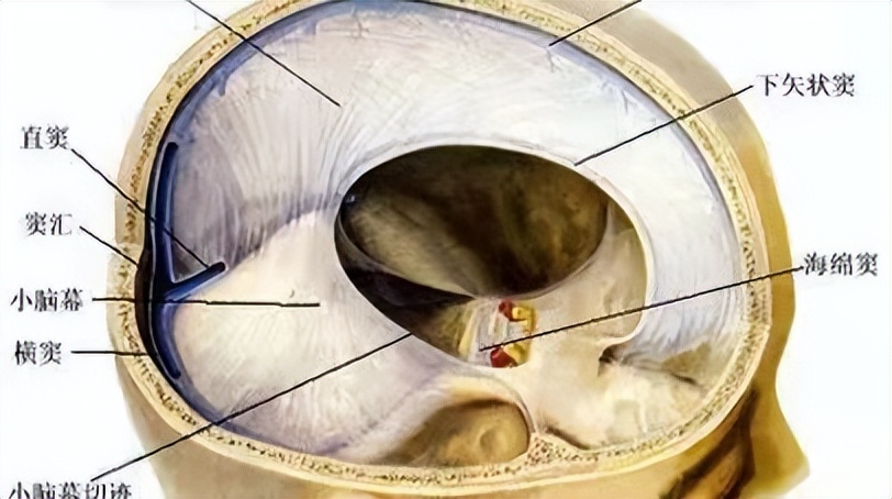 儿童患上脑肿瘤怎么办？这3种常见的治疗方法，可供家长选择