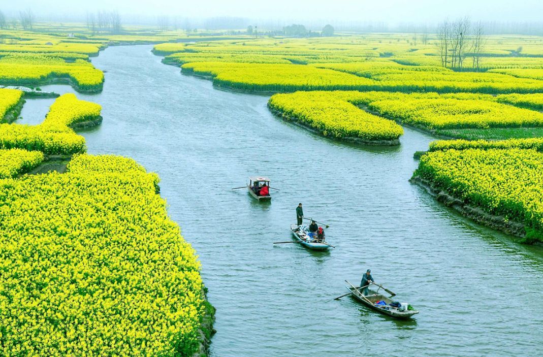 春季赏花景点有哪些,雅安周边春天赏花一日游最佳景点