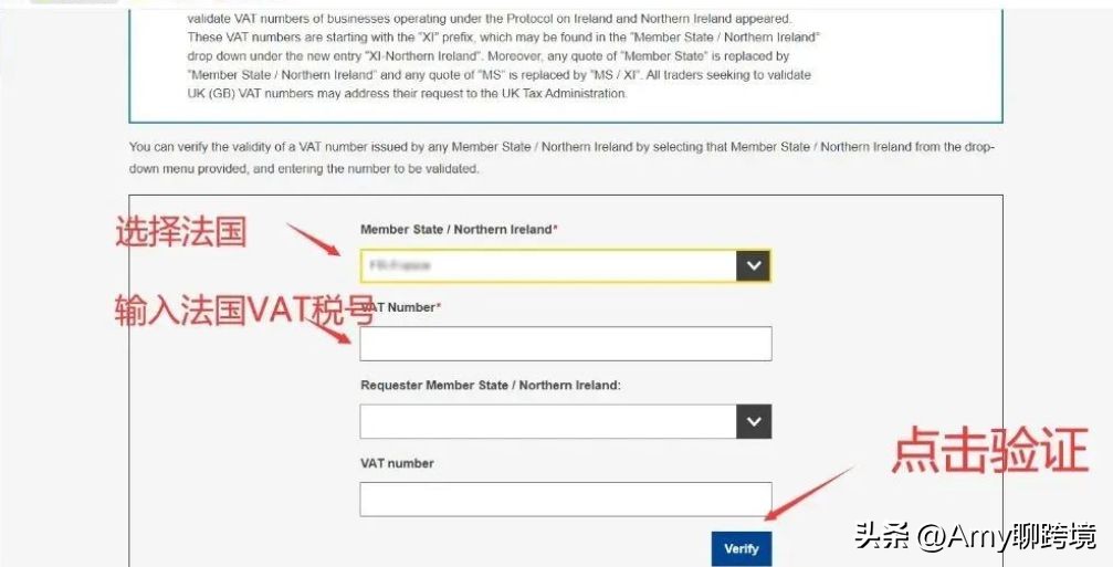 amy聊跨境法国,法国vat税号失效原因及解决办法