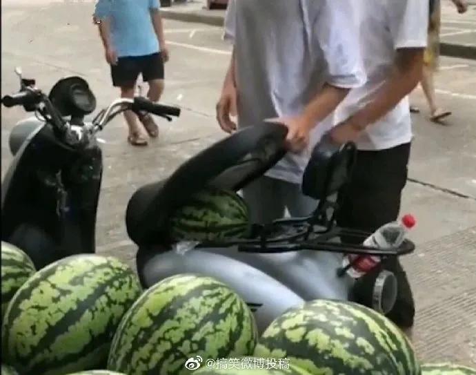 精工所有手表,精工电视手表t001