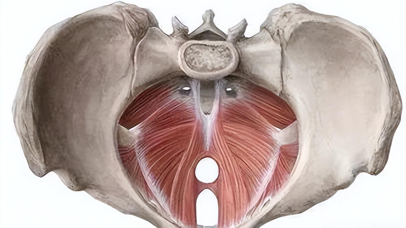 切除子宫会对女性产生哪些影响,切除子宫对女性还有感觉吗