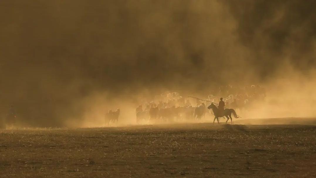 中国快递烽火30年：最简单的生意，最纯粹的江湖