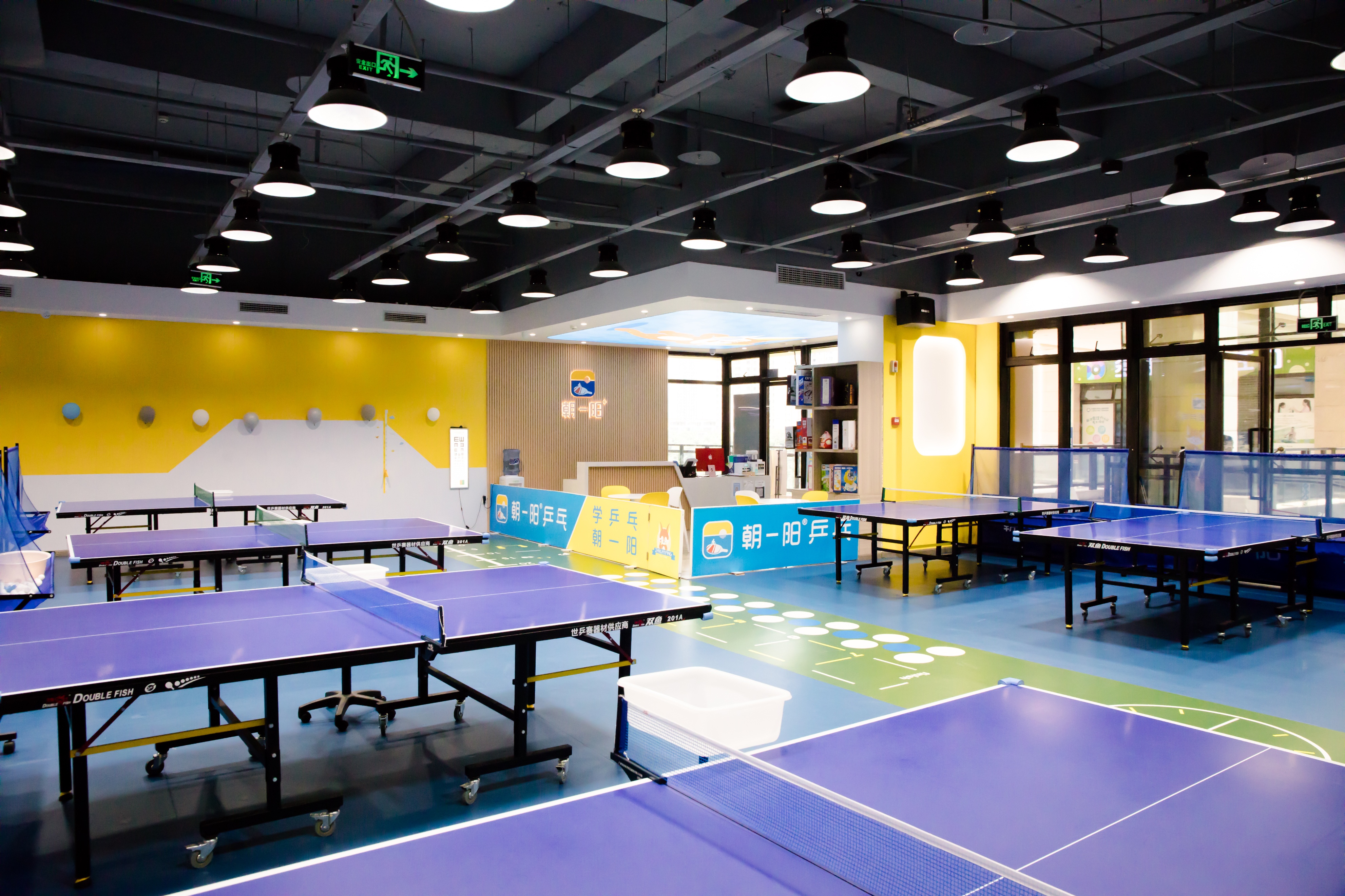 乒乓球丹羽孝希发球技巧教学,乒乓球发球手指手腕的用力技巧