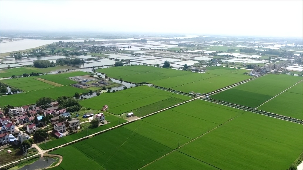 农田集约化管理,农田发展新模式